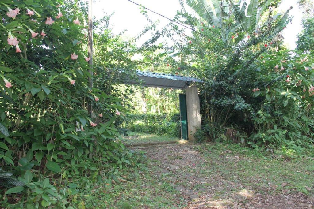 Bema Farm Βίλα Sao Jose Εξωτερικό φωτογραφία