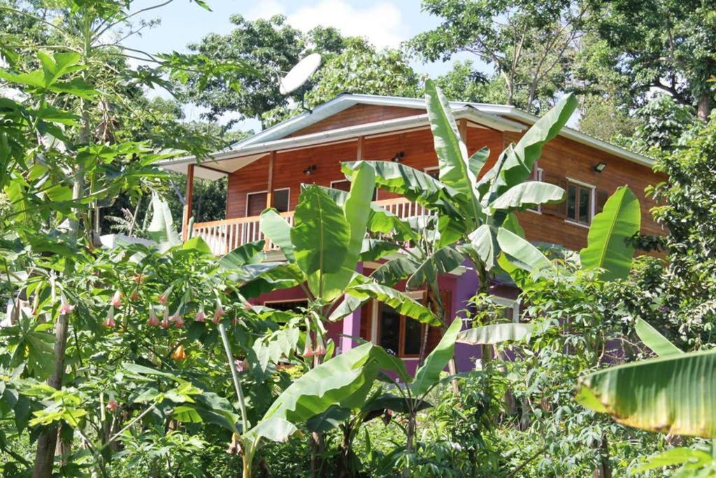 Bema Farm Βίλα Sao Jose Εξωτερικό φωτογραφία